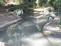 Zoo Cottbus 093